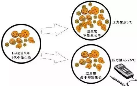 食品及制藥產業壓縮空氣需謹慎,你吃的食物和藥可能有污染-