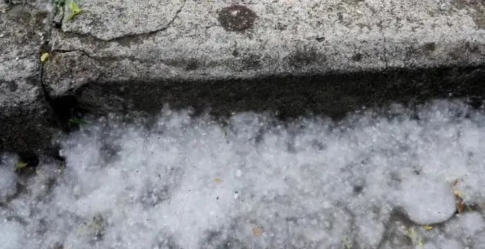 春季柳絮多，空壓機如何防范和清理