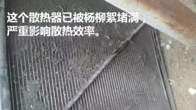 春季柳絮多，空壓機如何防范和清理